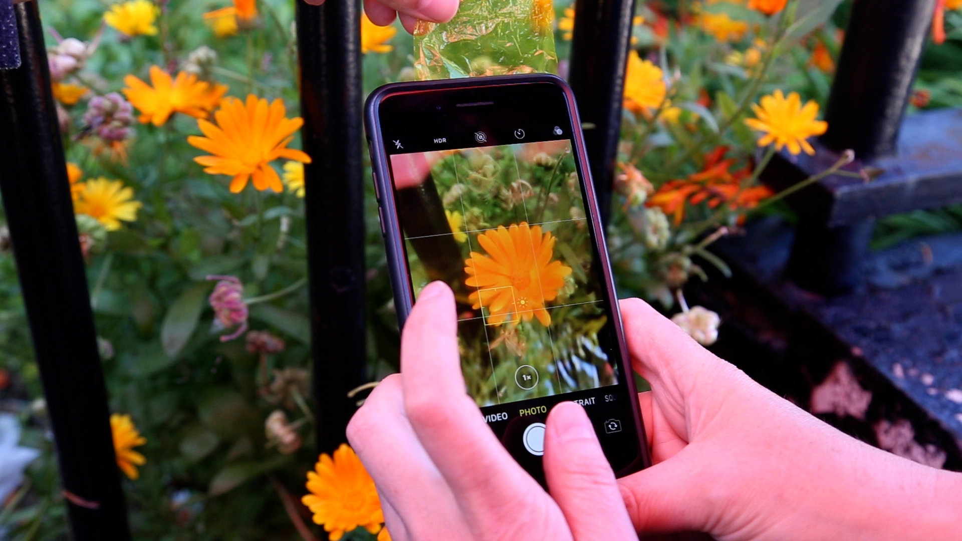 a pair of hands using a filter